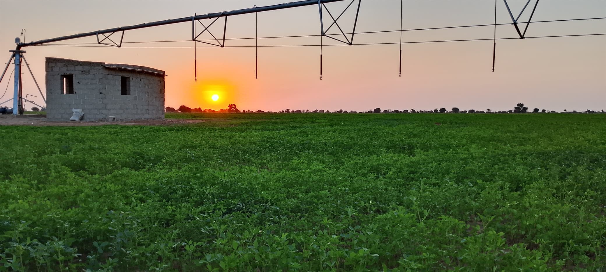 Matura Agro farmland